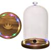 Smoking Gun Accessory LED lights Glass Dome 9x5.7 inch Lid with Wooden Base Smoke infuser Cover Lid for Cocktail Smoker Dome for Cold Smoke Smoking Cl